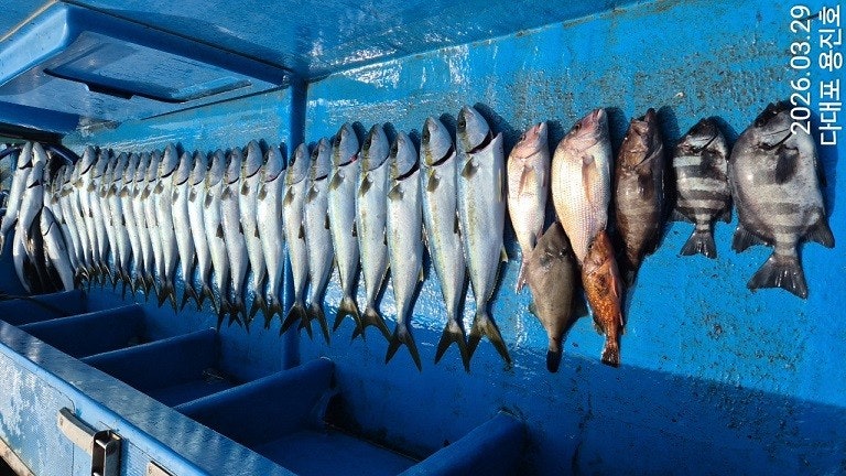 ����ڰ� �ø� �̹���