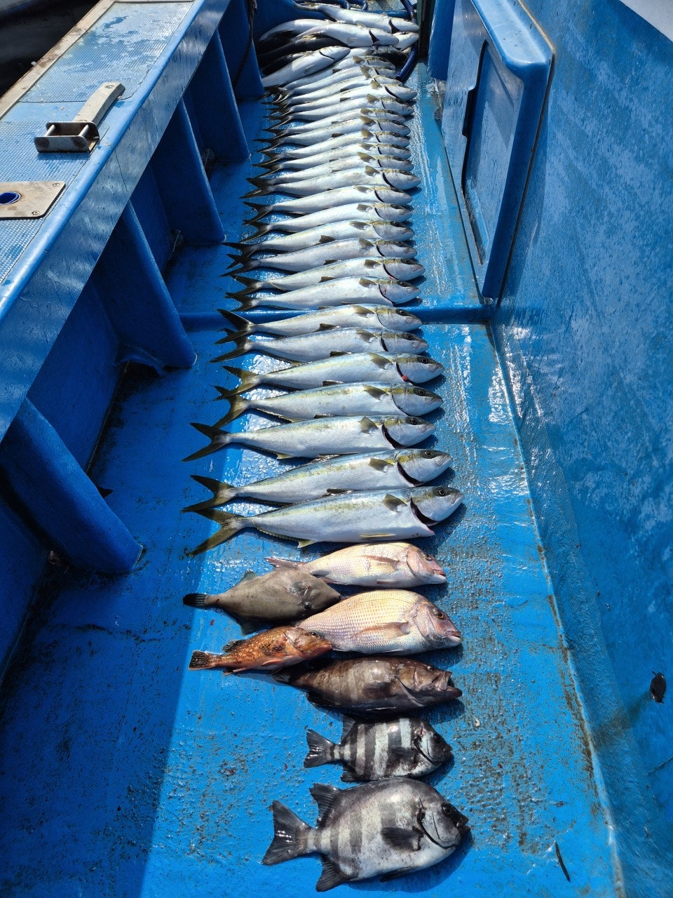 ����ڰ� �ø� �̹���