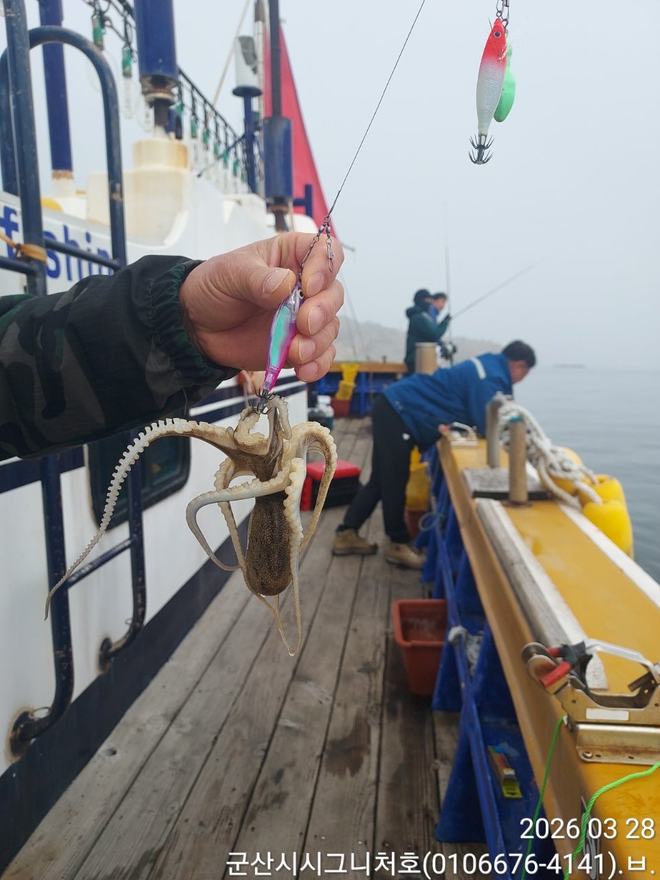 사용자가 올린 이미지