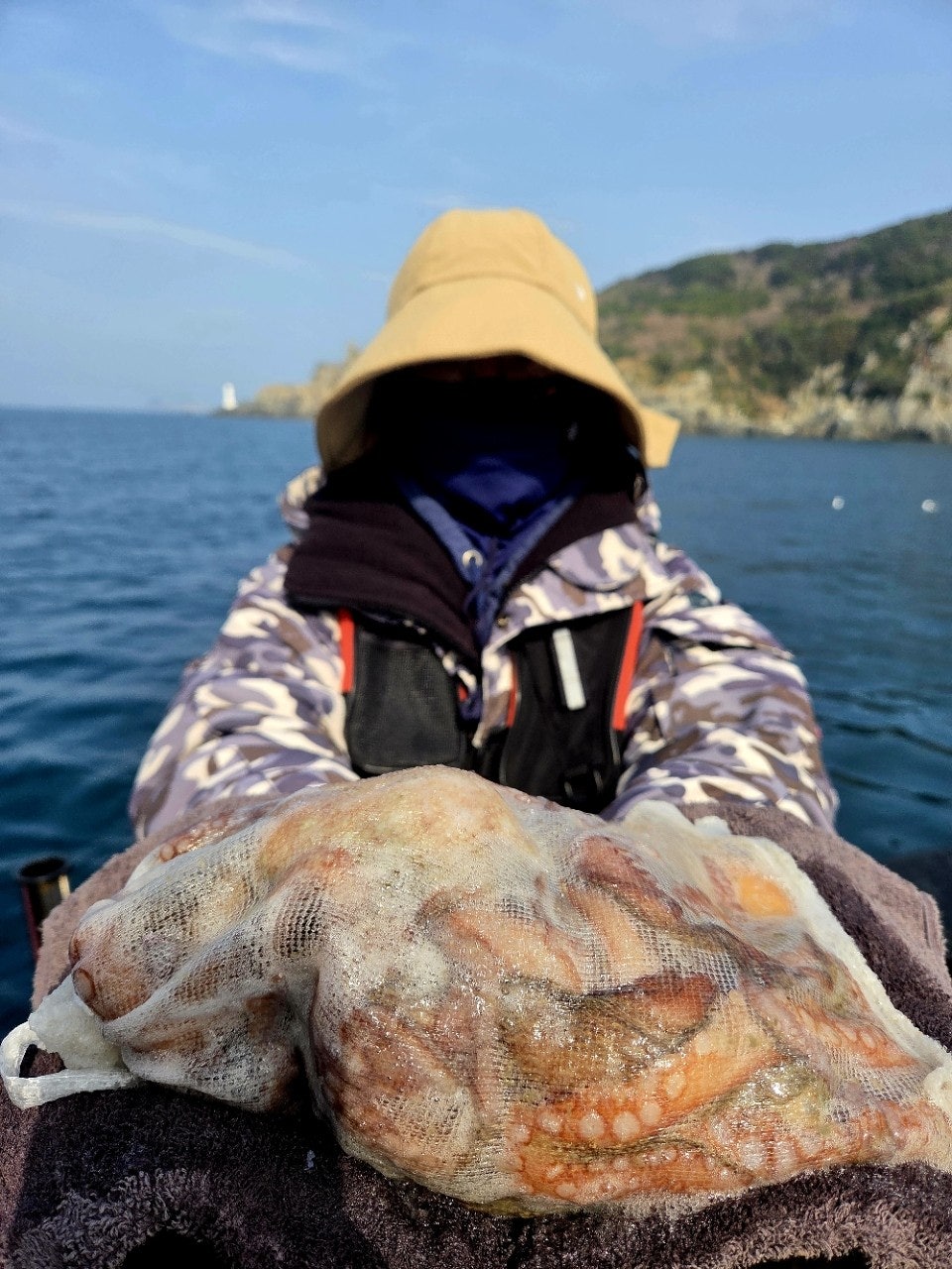 ����ڰ� �ø� �̹���