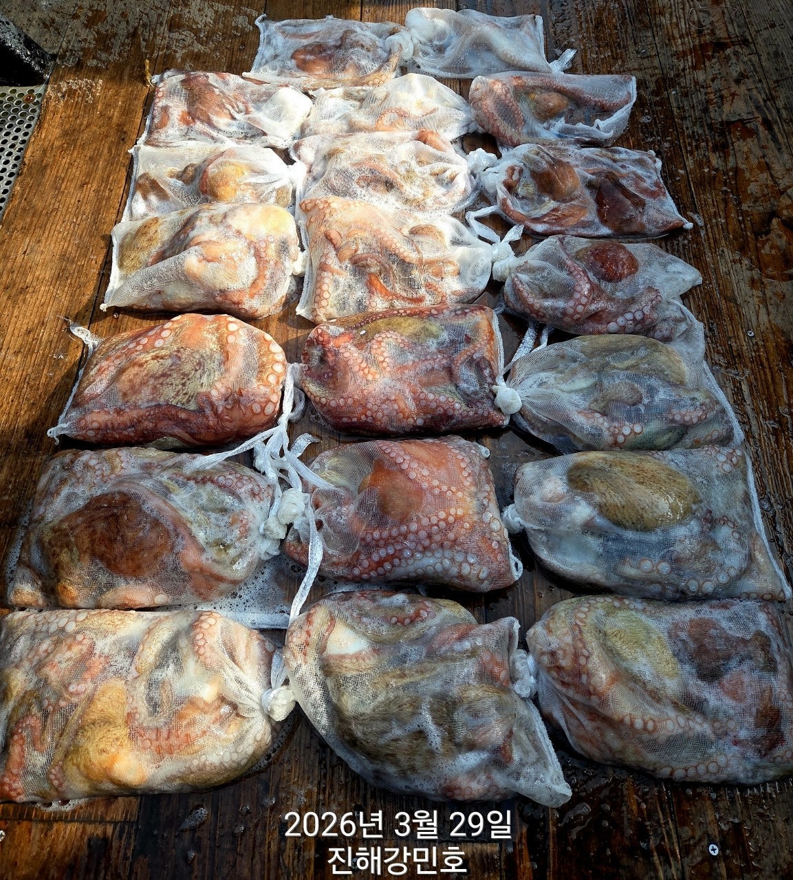 ����ڰ� �ø� �̹���