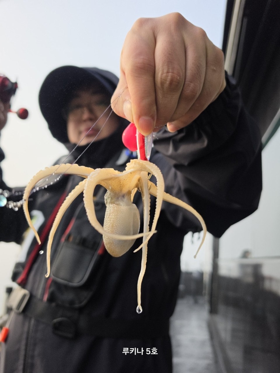 사용자가 올린 이미지