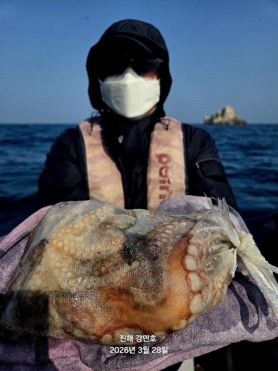 ����ڰ� �ø� �̹���