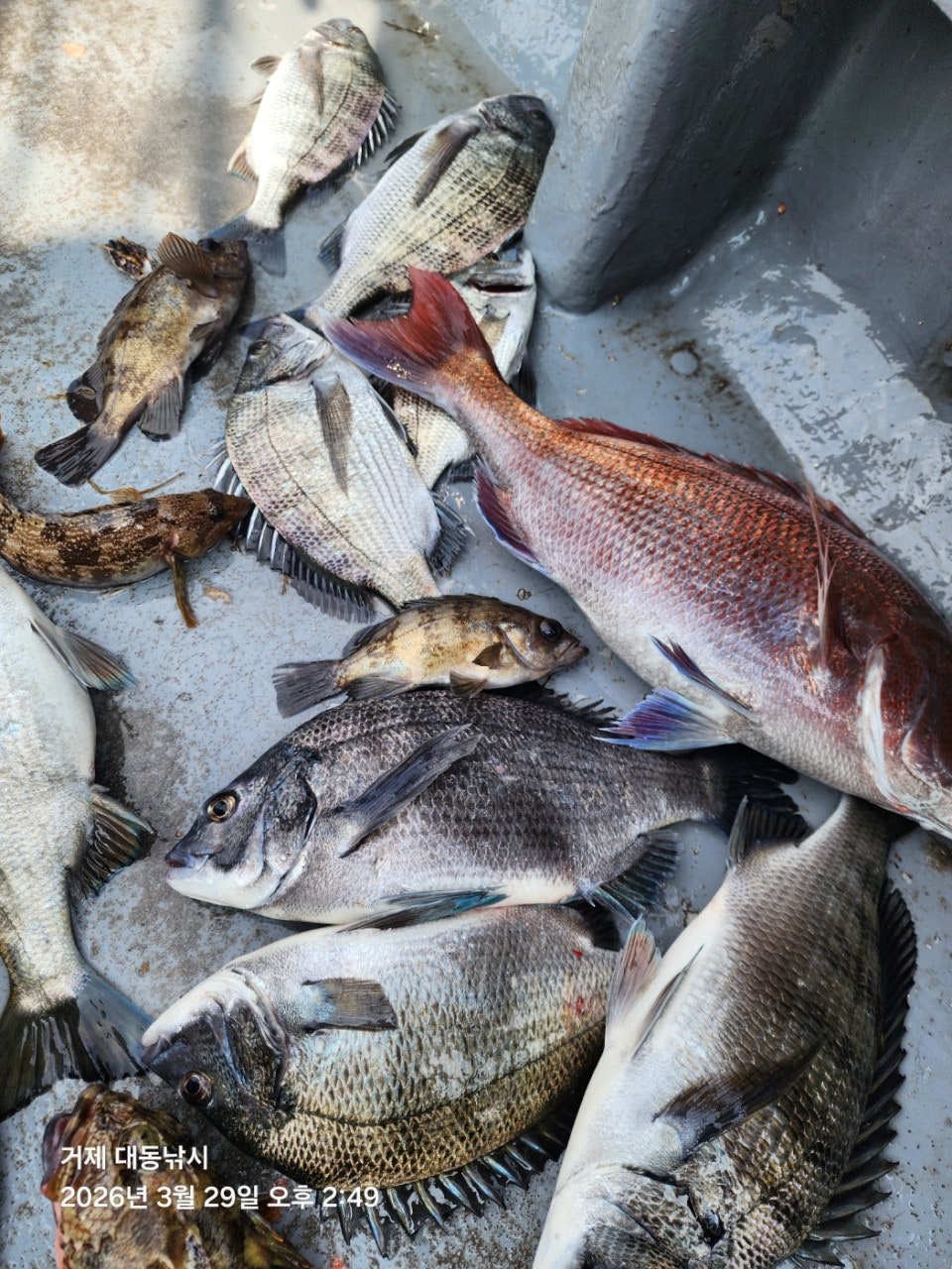 ����ڰ� �ø� �̹���