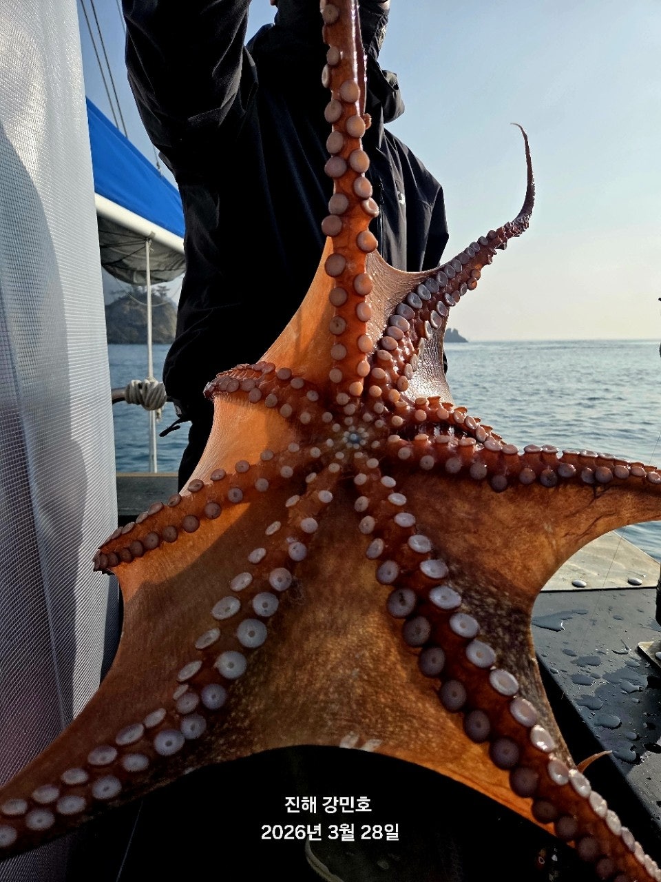 ����ڰ� �ø� �̹���