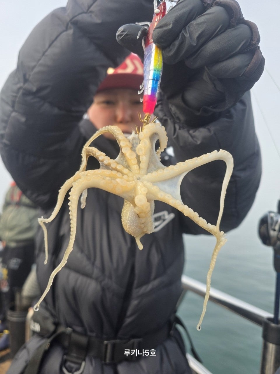 사용자가 올린 이미지