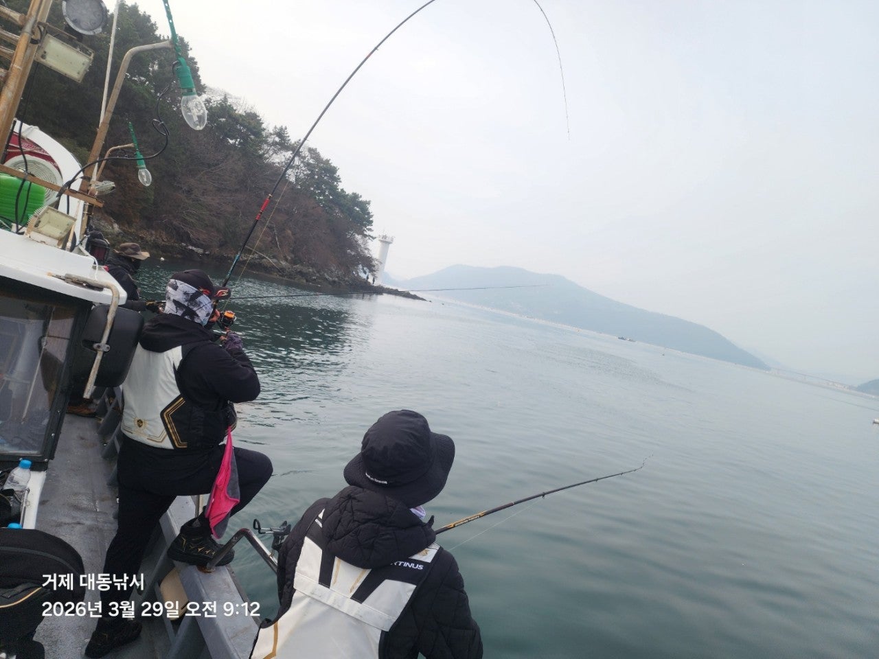 ����ڰ� �ø� �̹���