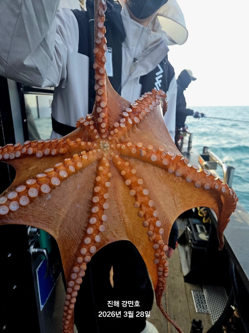 ����ڰ� �ø� �̹���