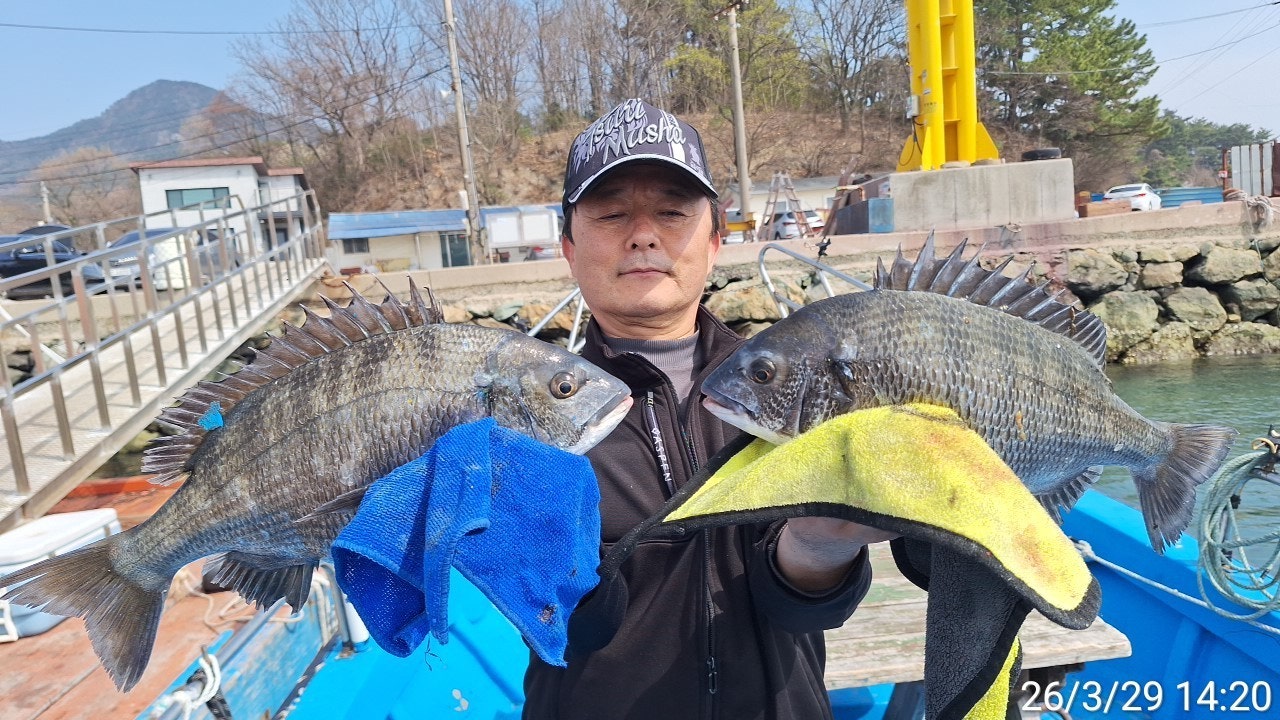 ����ڰ� �ø� �̹���