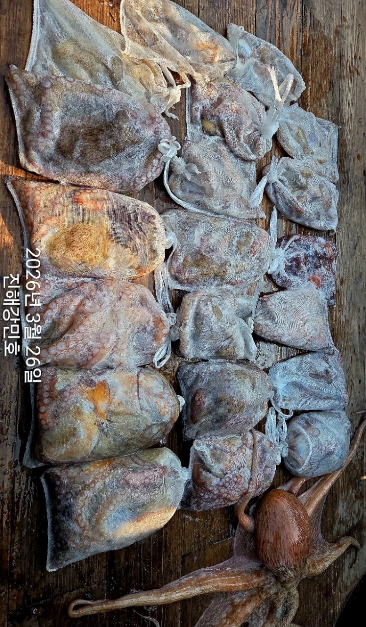 ����ڰ� �ø� �̹���