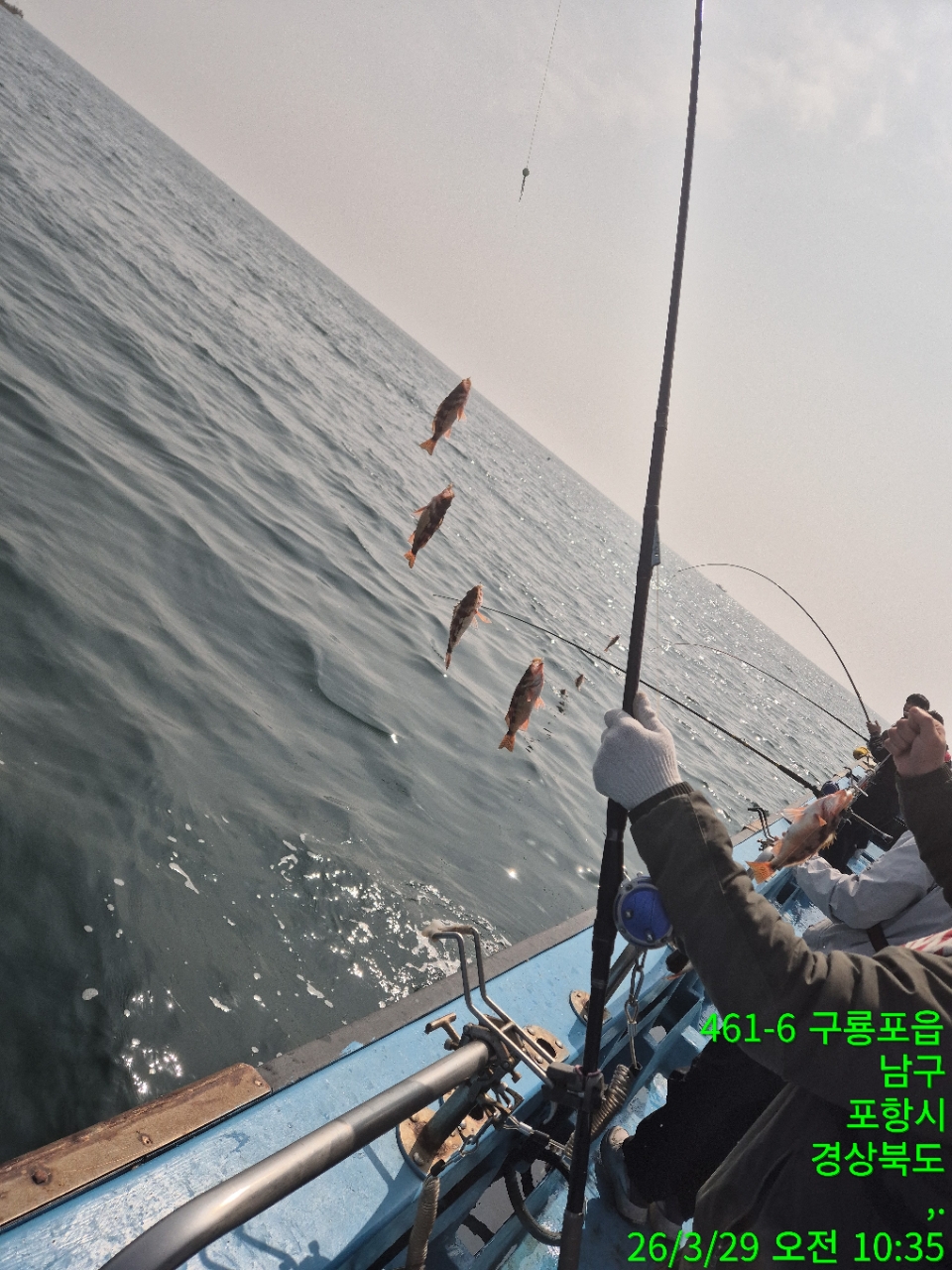 5_dbaUd018svclsx53seerbmy_9bt2m0.jpg