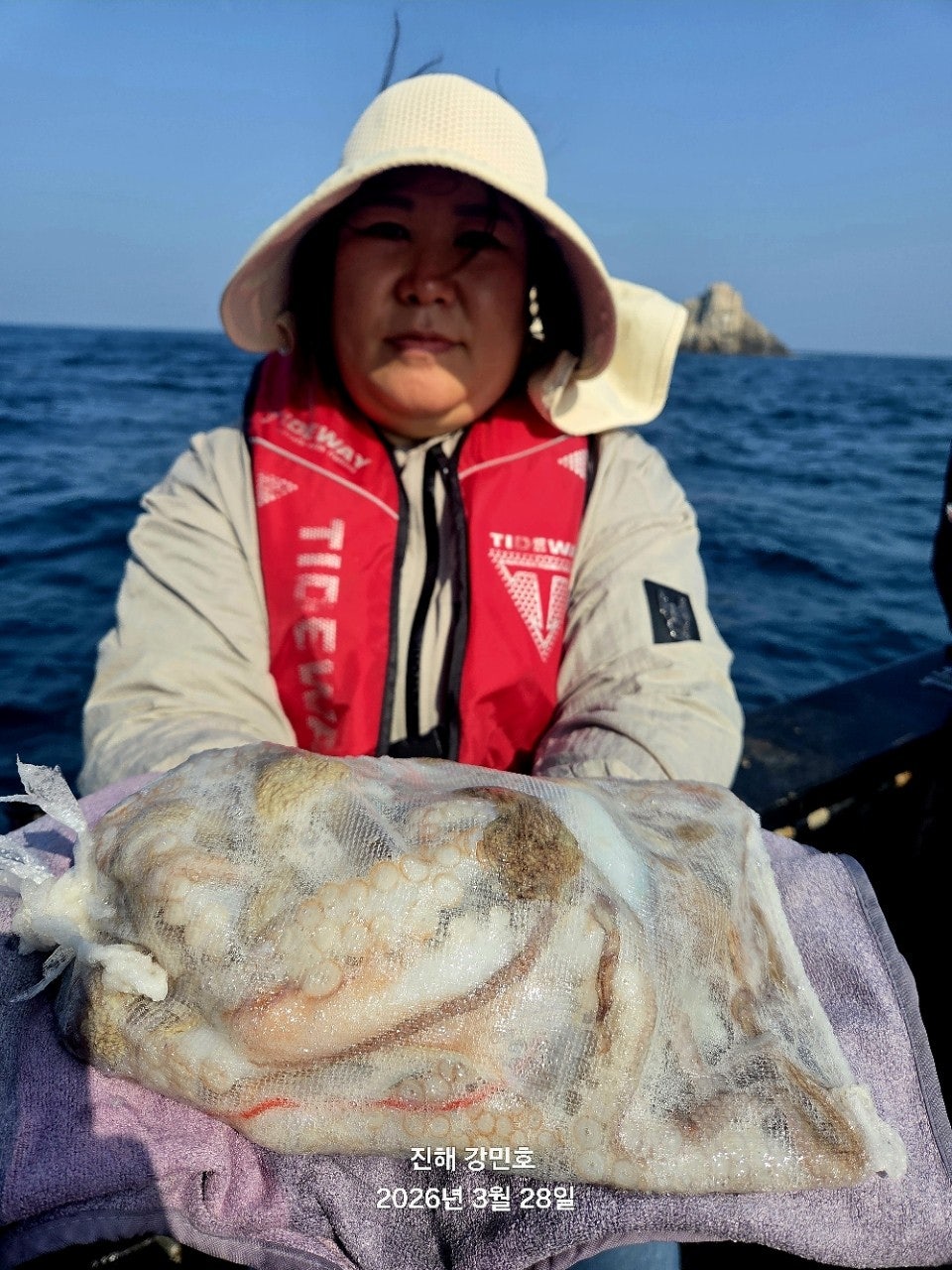 ����ڰ� �ø� �̹���