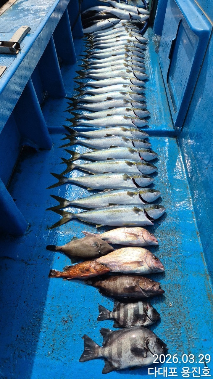 ����ڰ� �ø� �̹���