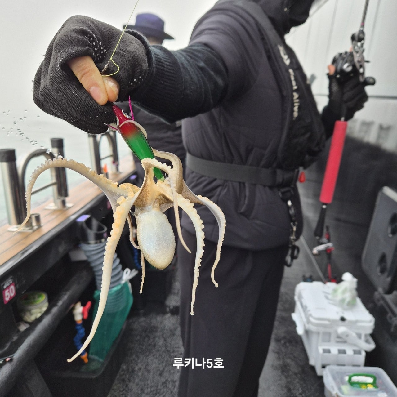 사용자가 올린 이미지