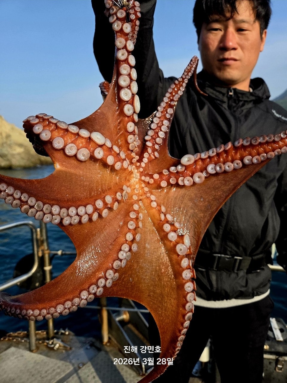 ����ڰ� �ø� �̹���