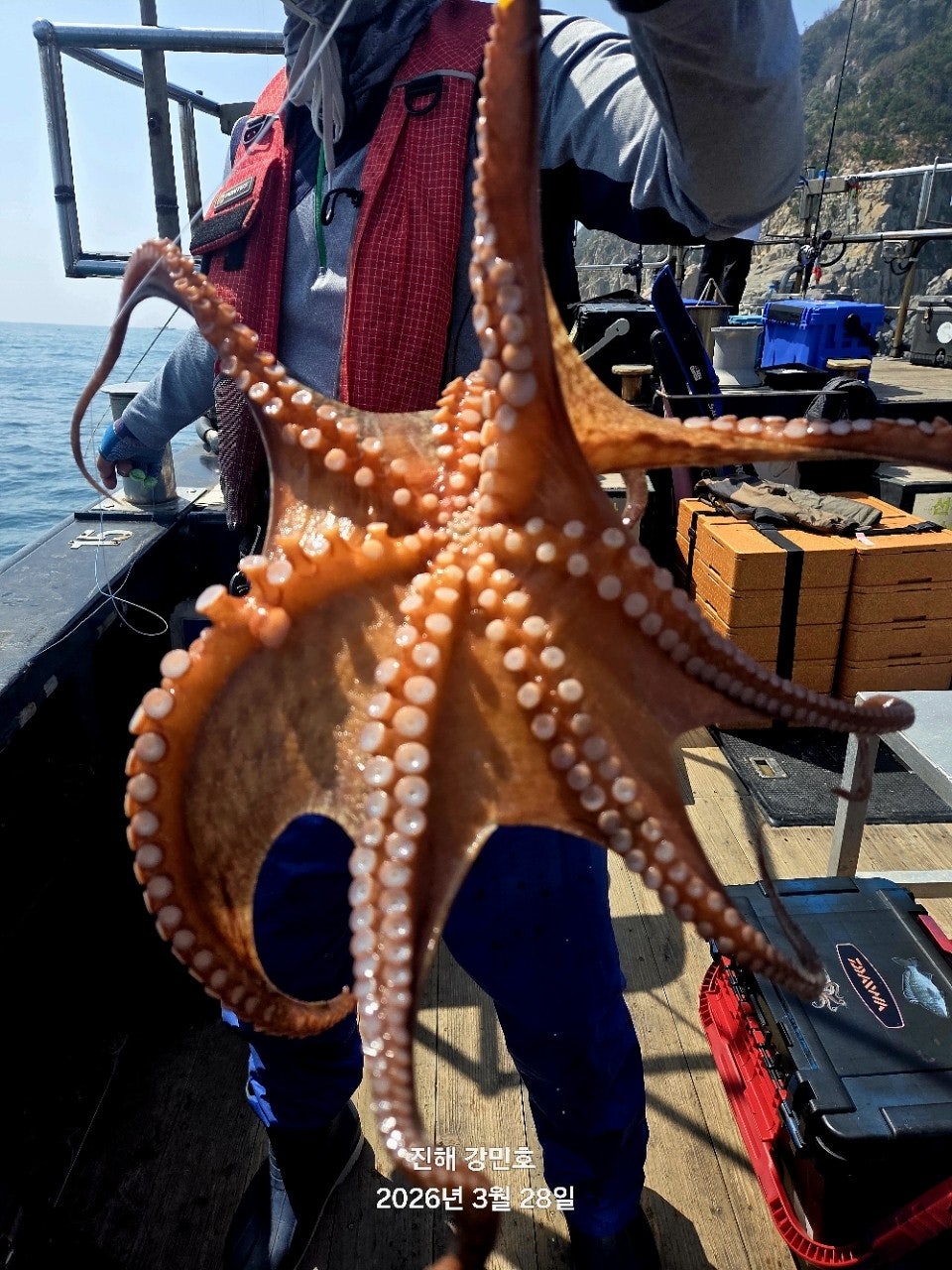 ����ڰ� �ø� �̹���