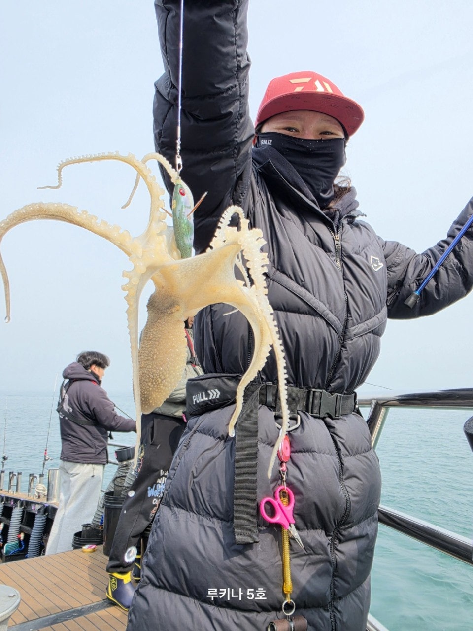 사용자가 올린 이미지