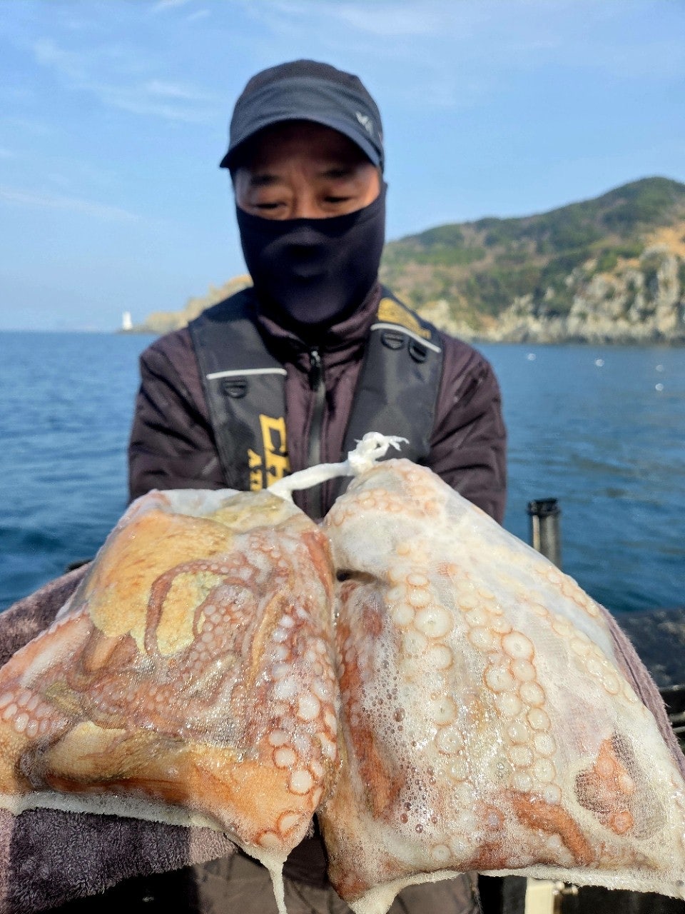 ����ڰ� �ø� �̹���