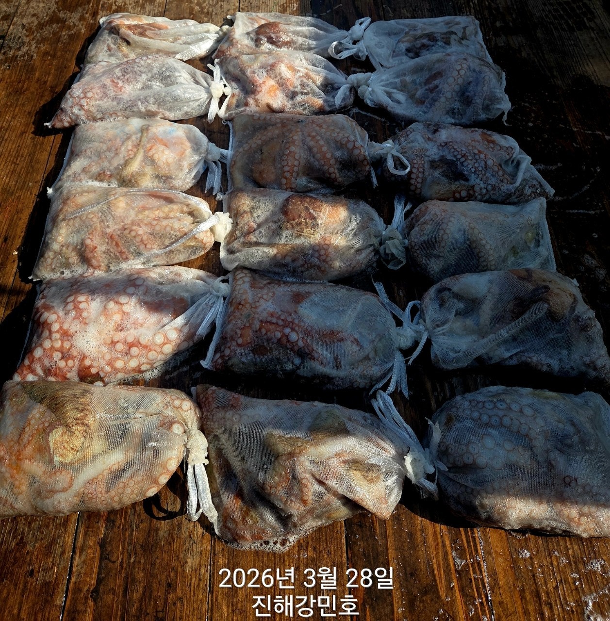 ����ڰ� �ø� �̹���