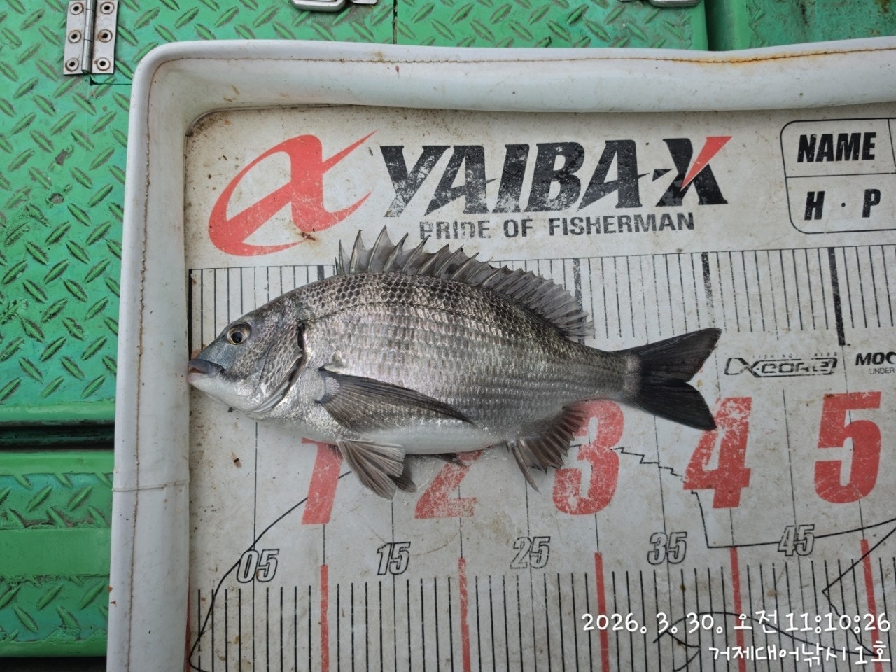 ����ڰ� �ø� �̹���