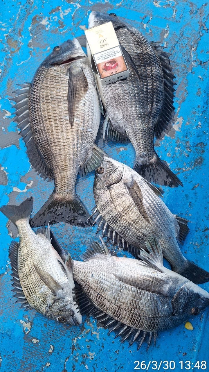 ����ڰ� �ø� �̹���