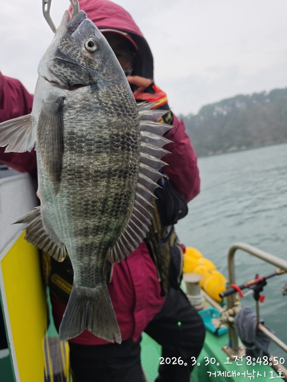 ����ڰ� �ø� �̹���