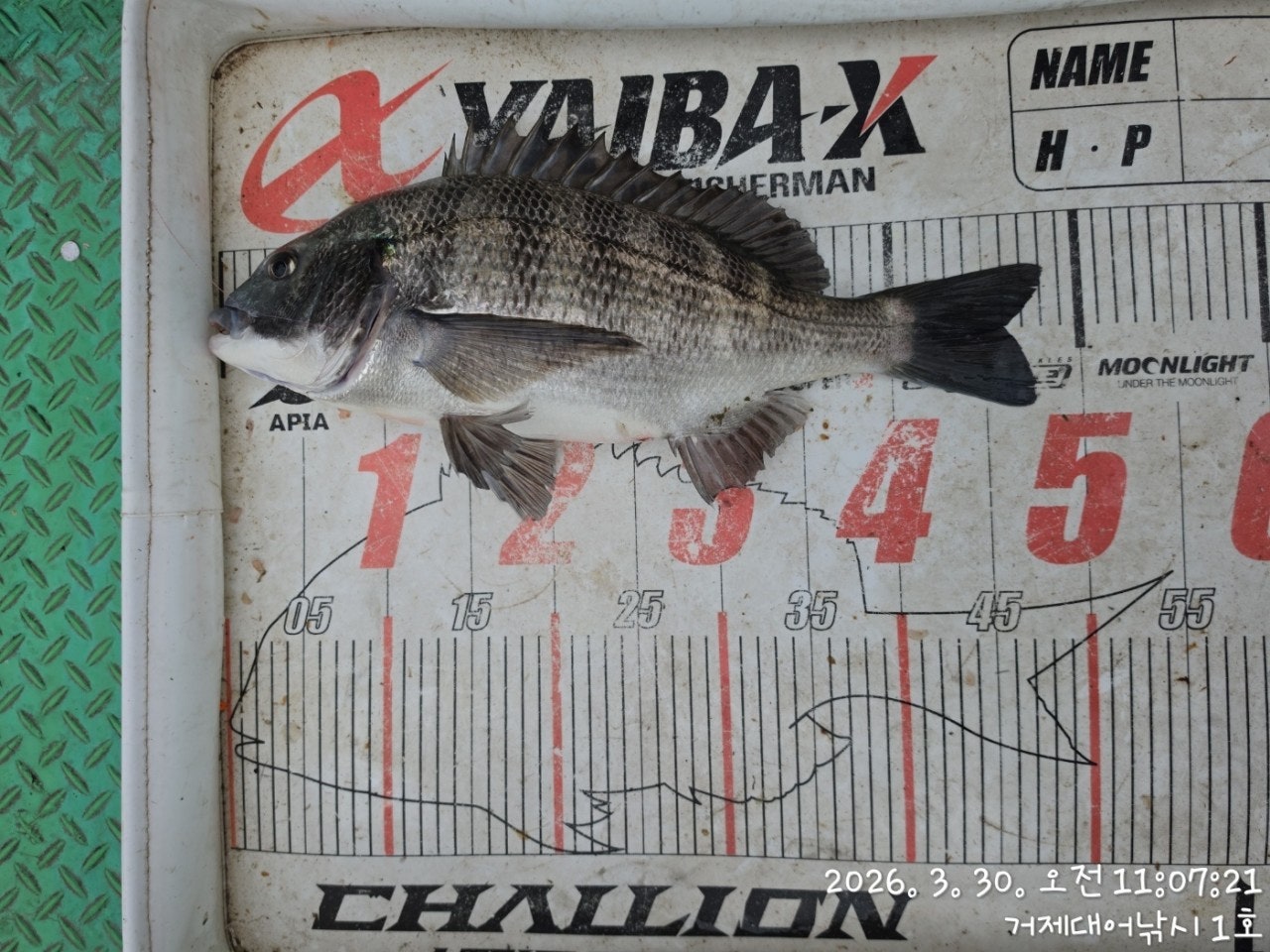 ����ڰ� �ø� �̹���