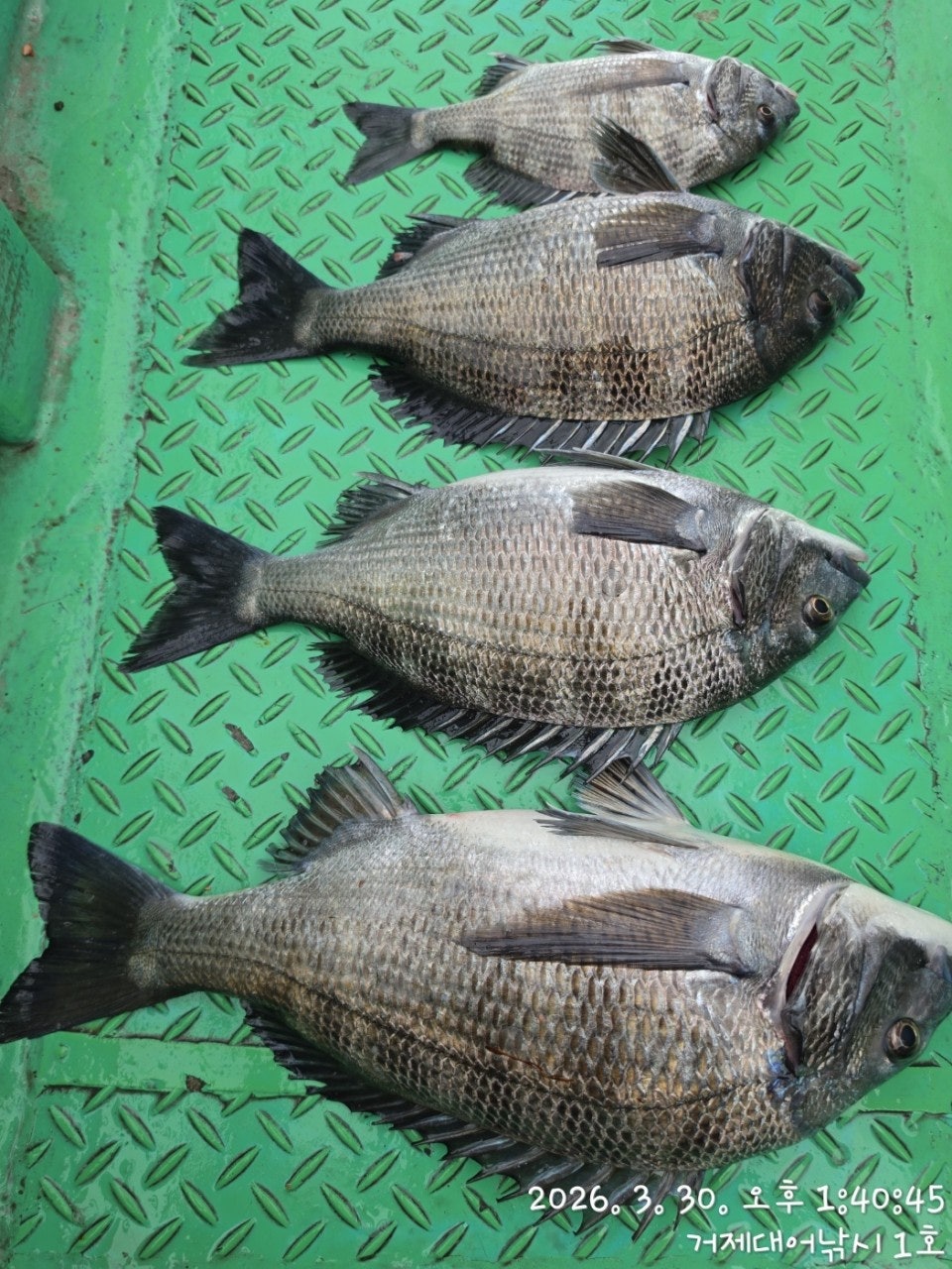 ����ڰ� �ø� �̹���