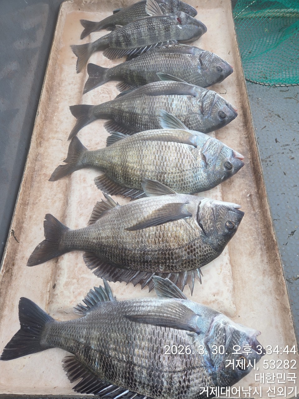 ����ڰ� �ø� �̹���