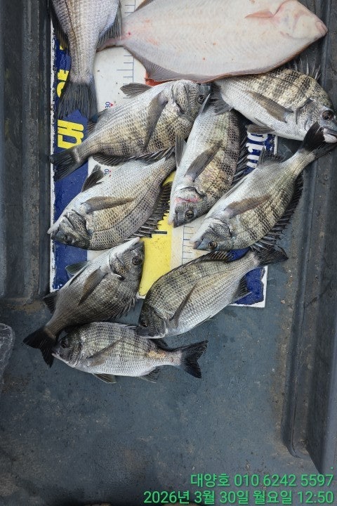 ����ڰ� �ø� �̹���