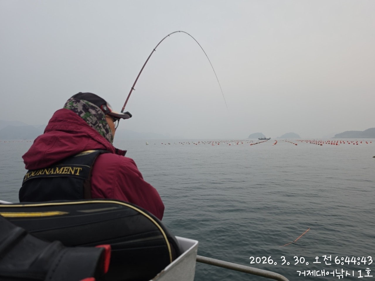 ����ڰ� �ø� �̹���