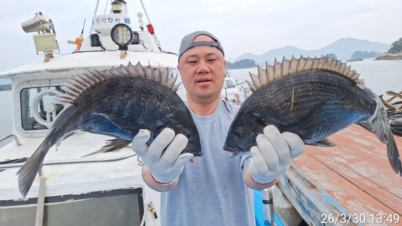 ����ڰ� �ø� �̹���