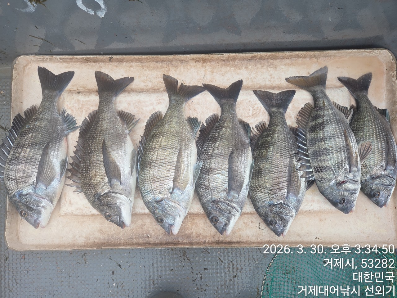 ����ڰ� �ø� �̹���