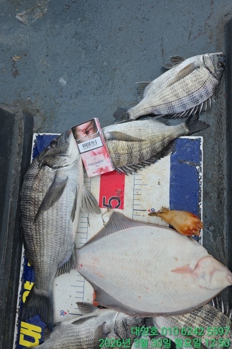 ����ڰ� �ø� �̹���