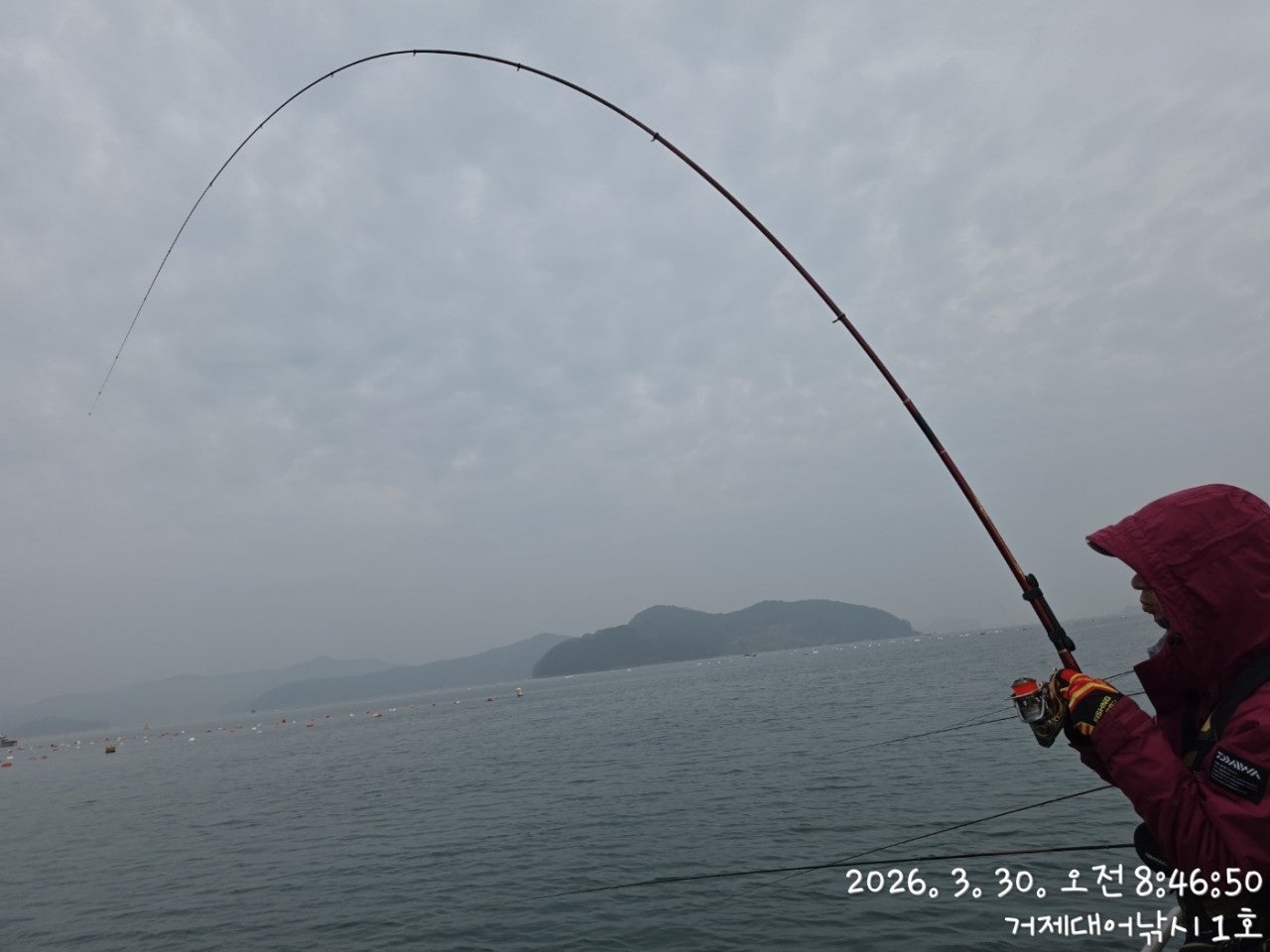 ����ڰ� �ø� �̹���