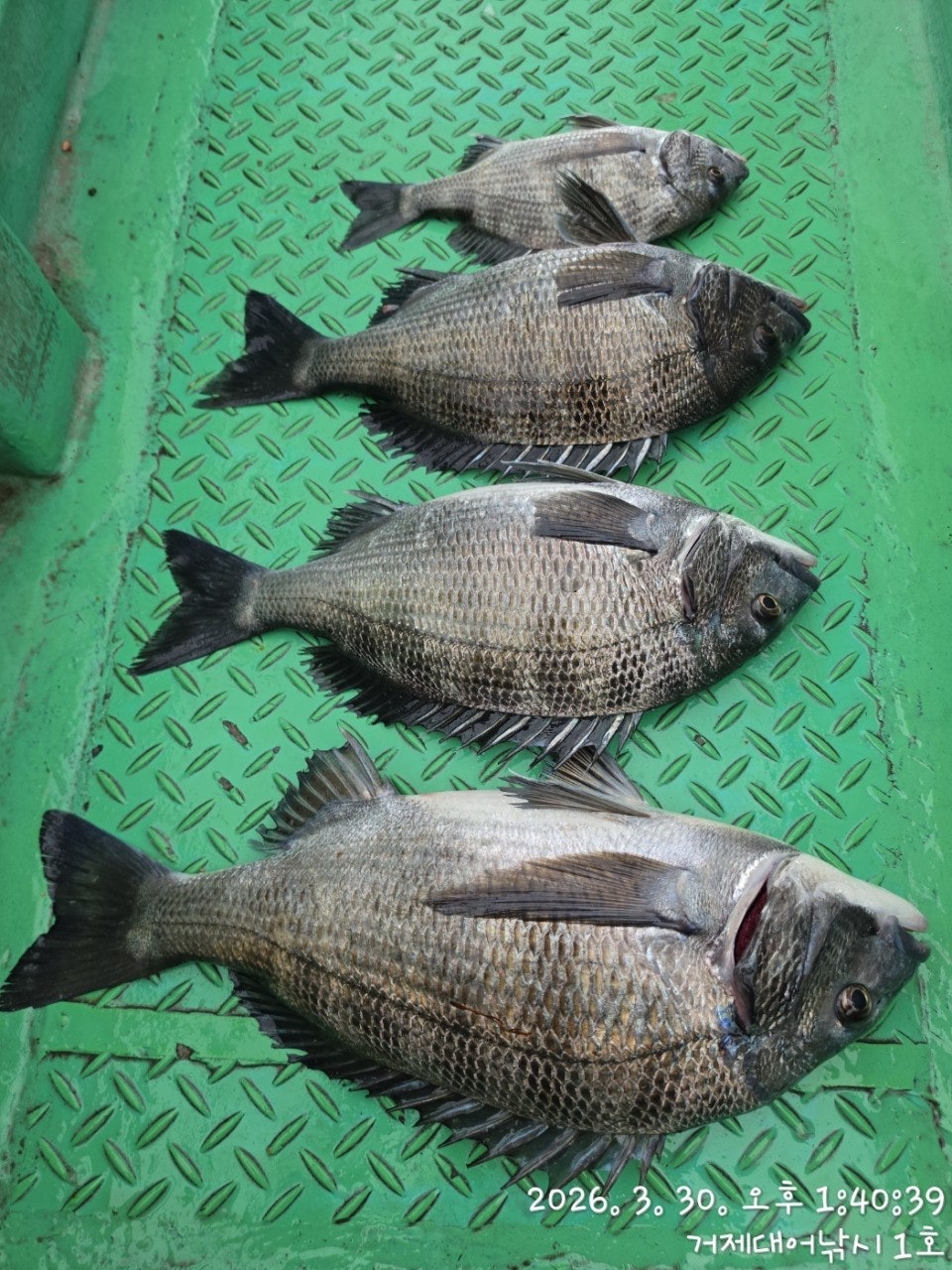 ����ڰ� �ø� �̹���