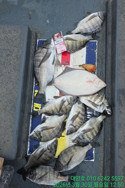 ����ڰ� �ø� �̹���