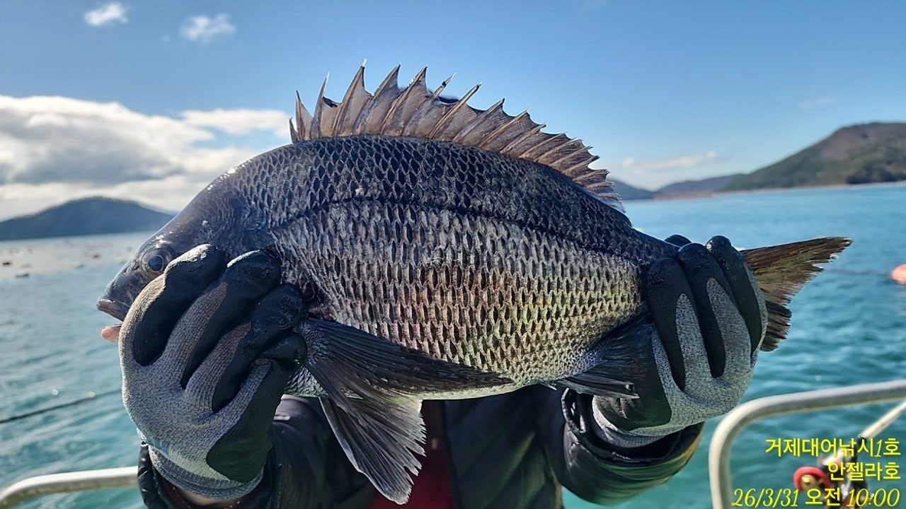 ����ڰ� �ø� �̹���