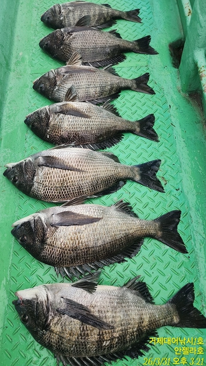 ����ڰ� �ø� �̹���