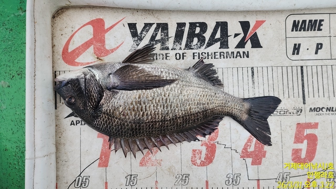 ����ڰ� �ø� �̹���