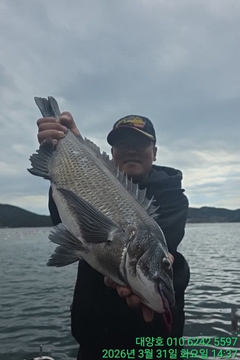 ����ڰ� �ø� �̹���