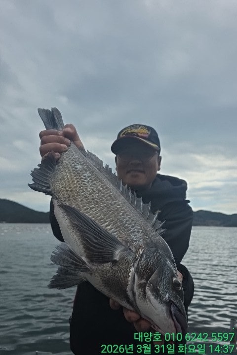 ����ڰ� �ø� �̹���