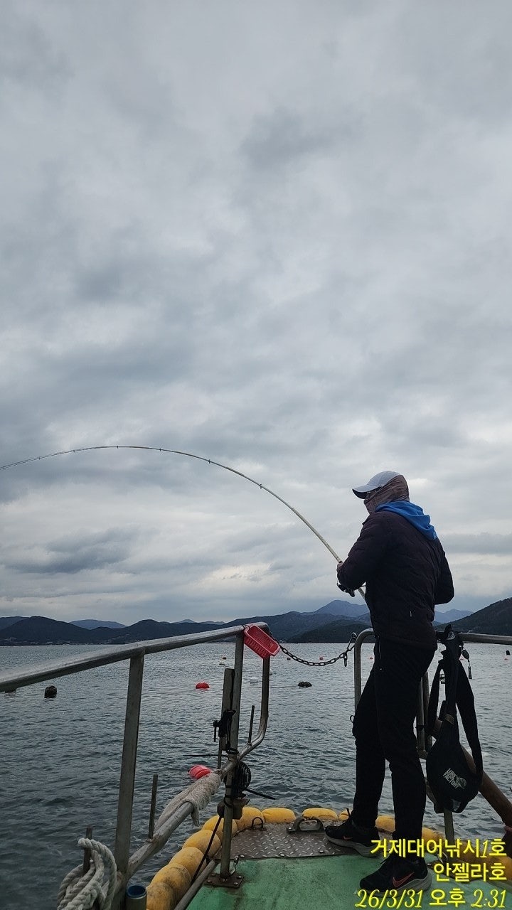 ����ڰ� �ø� �̹���