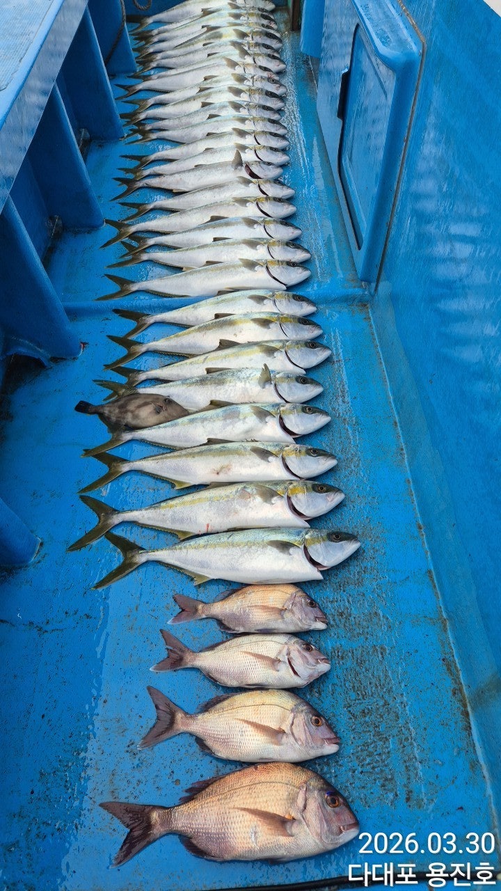 ����ڰ� �ø� �̹���