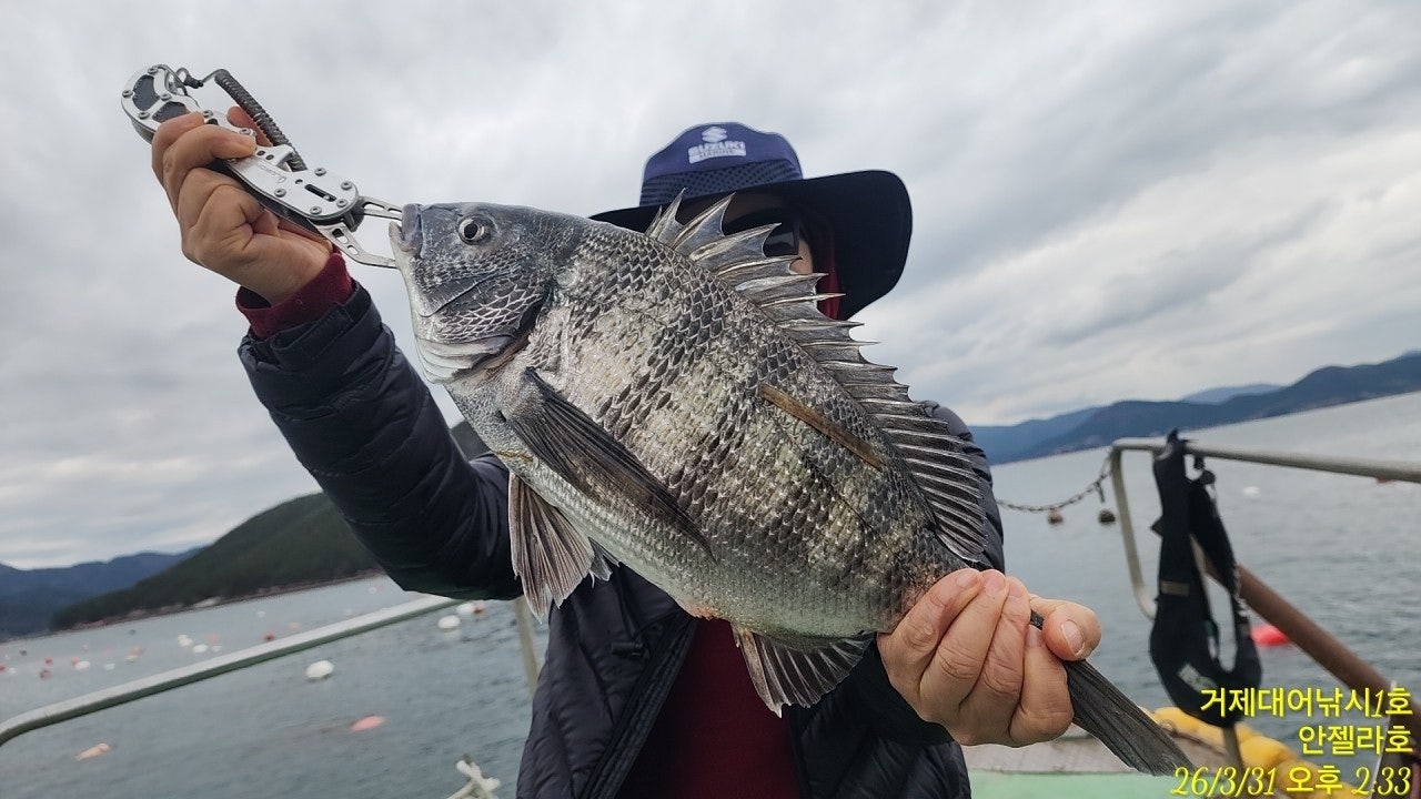 ����ڰ� �ø� �̹���