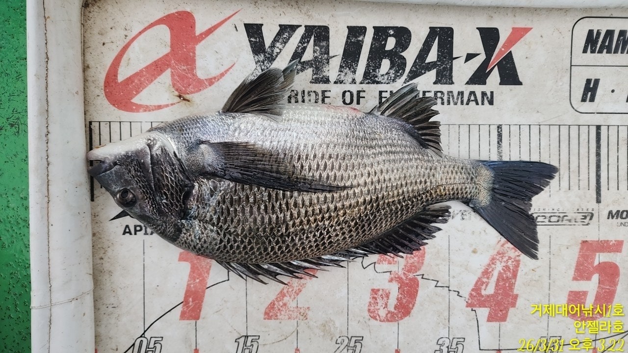 ����ڰ� �ø� �̹���