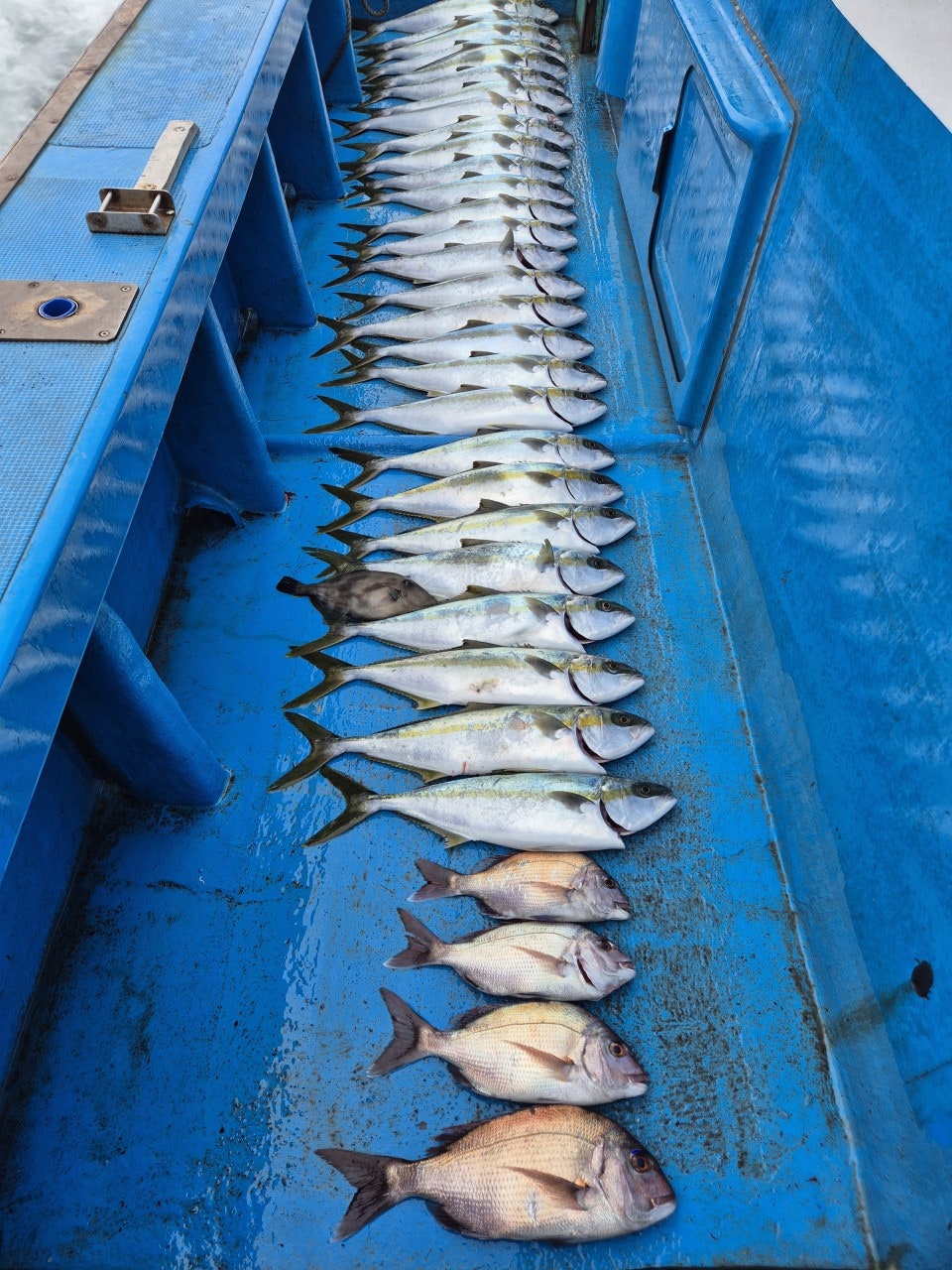 ����ڰ� �ø� �̹���