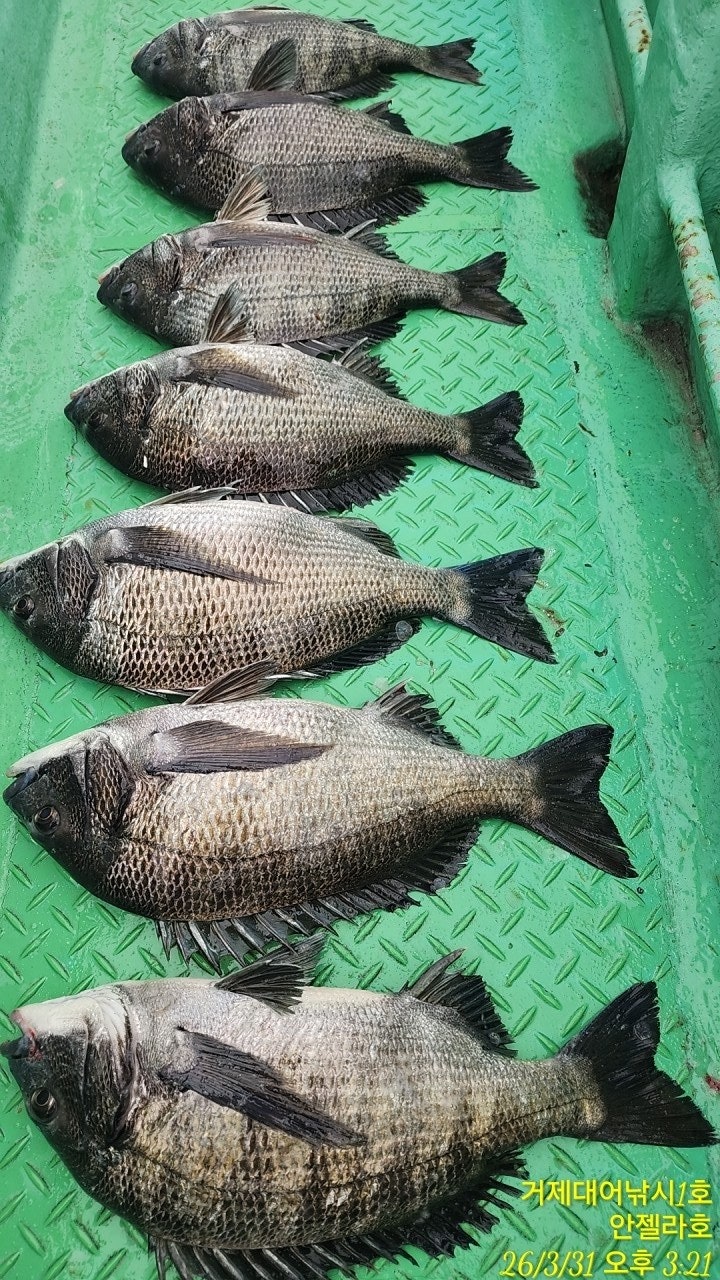 ����ڰ� �ø� �̹���