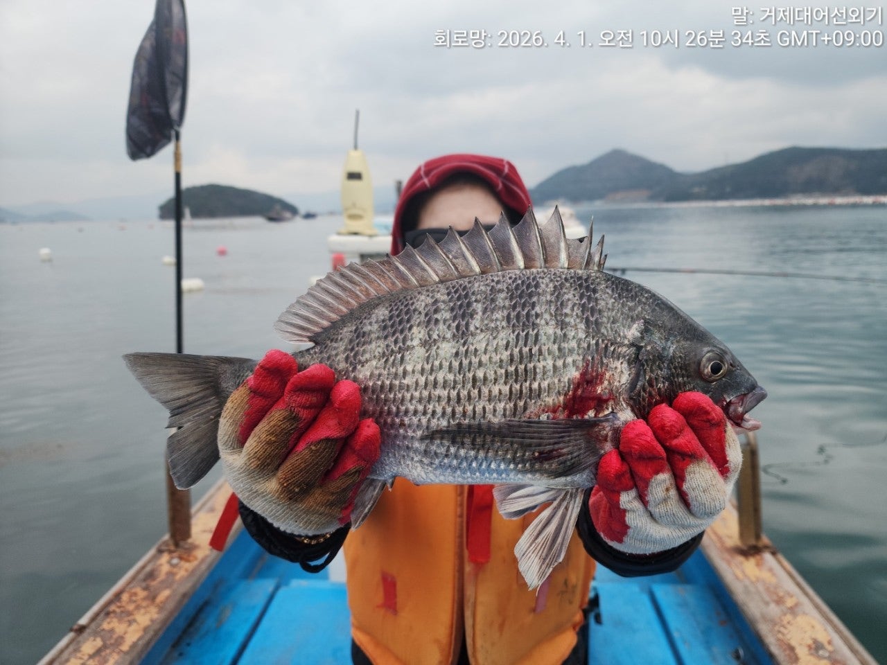 ����ڰ� �ø� �̹���