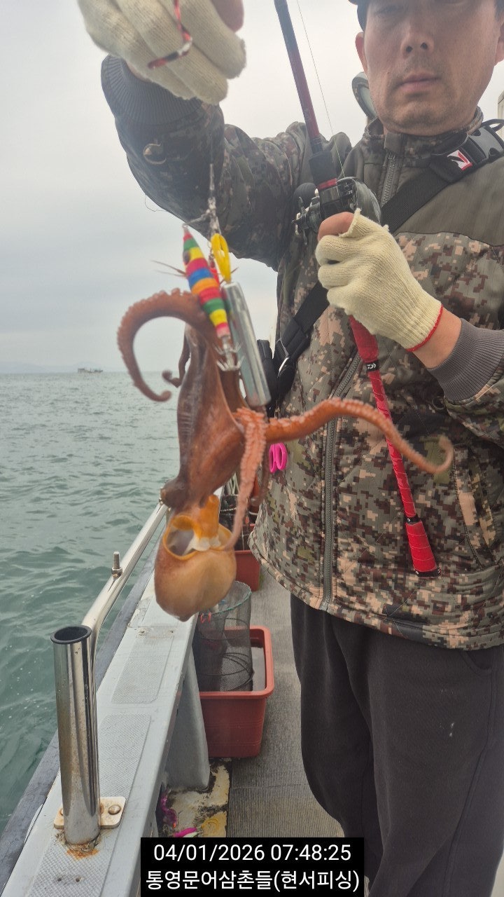 ����ڰ� �ø� �̹���